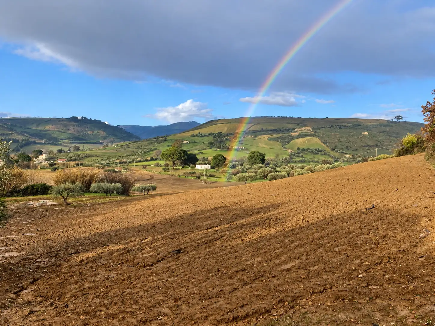 Un arcobaleno sul campo arato, con le colline e gli uliveti