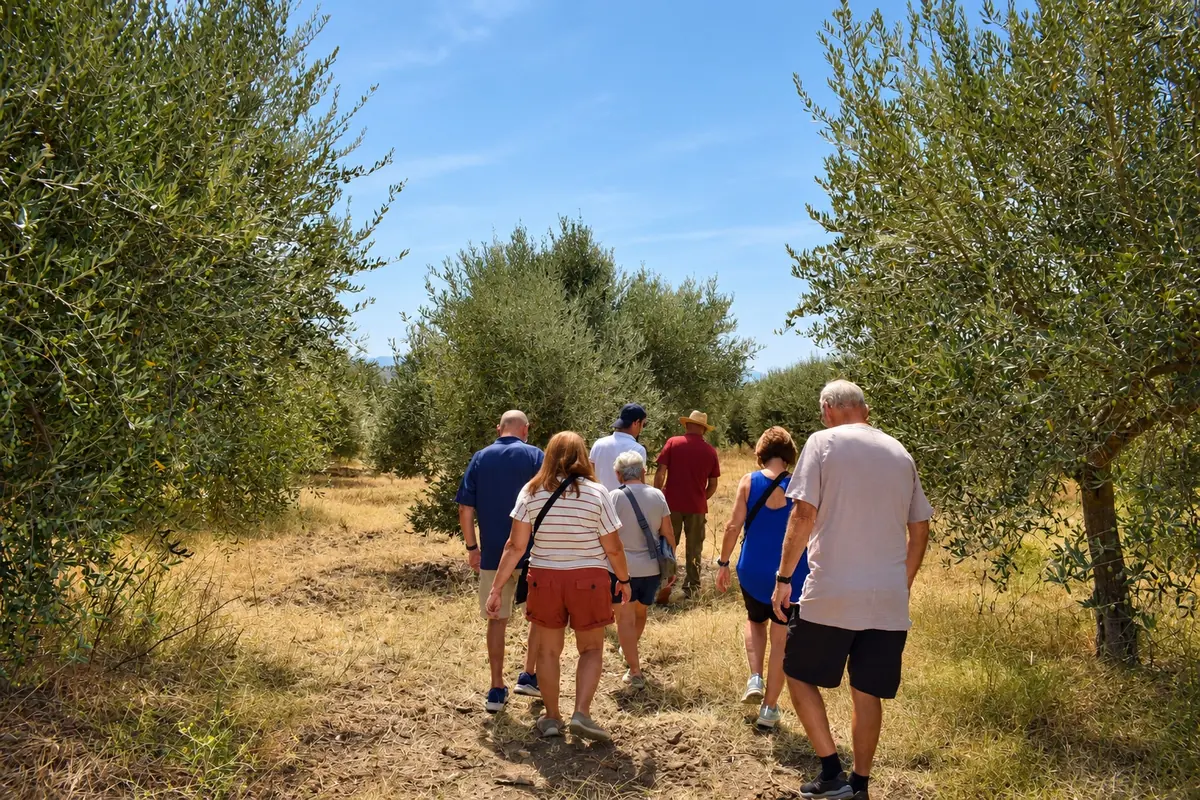 I visitatori camminano nell'uliveto con la guida