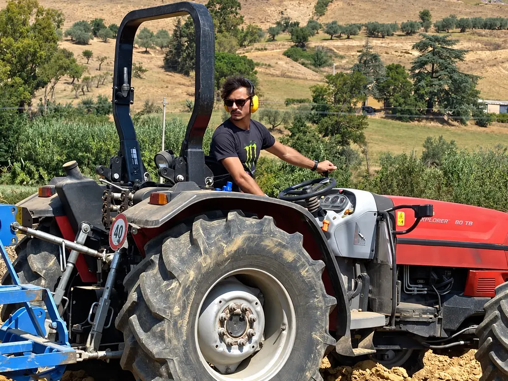 Il trattore rosso al lavoro fra gli ulivi