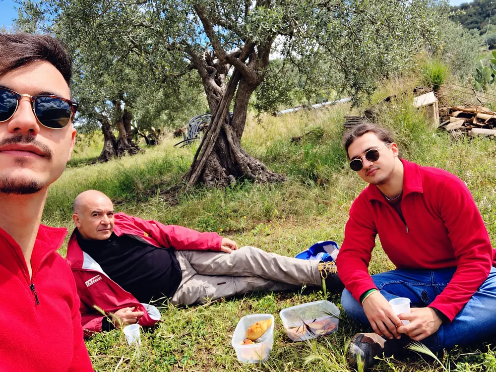 Un momento di riposo fra gli ulivi, oggi
