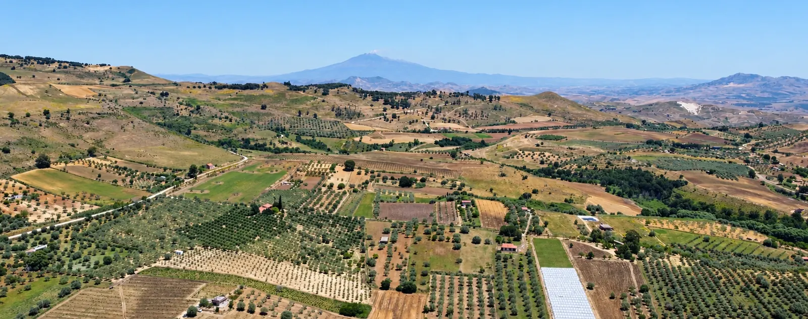 La valle degli uliveti a Piazza Armerina vista dal drone, con l'Etna sullo sfondo